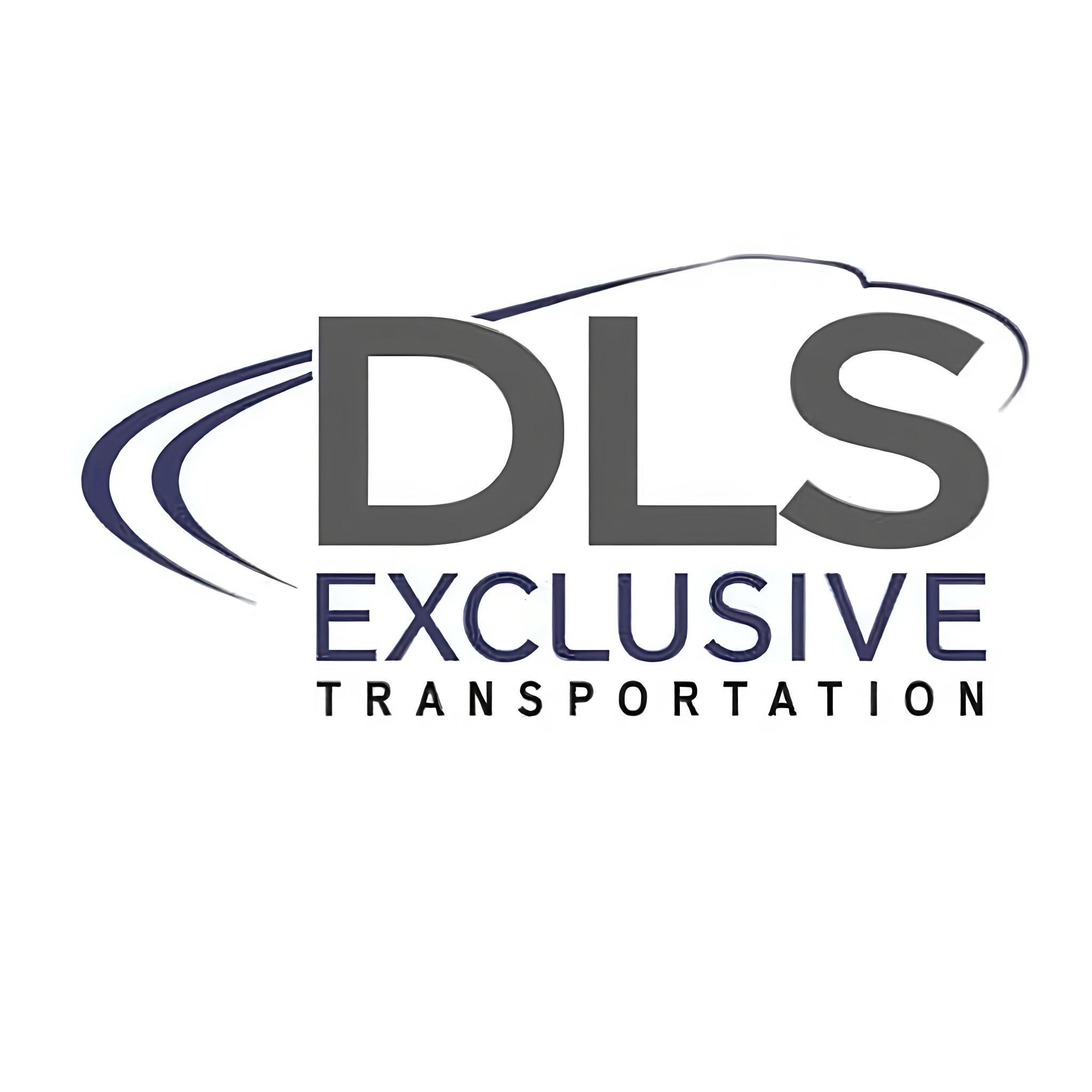 DLS Exclusive Logo